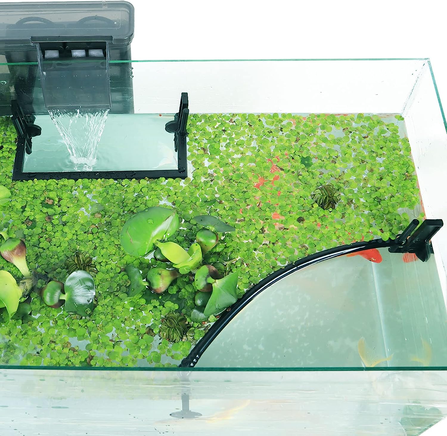 Planted Aquarium Heater - Aquarium Floating tanaman Corral, Intercepting tanaman
