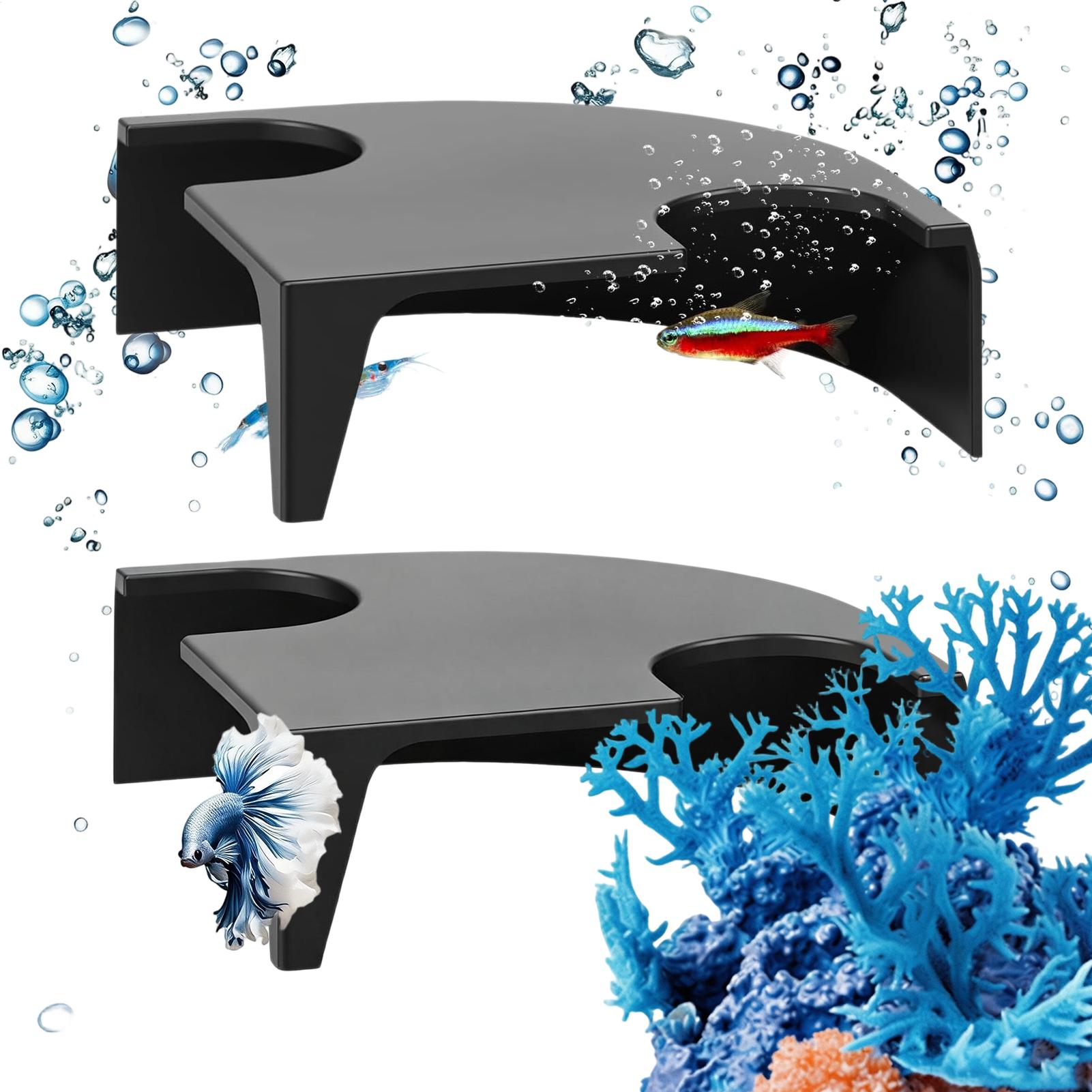 Non Planted Aquarium Fish - Gua Ikan untuk Lanskap Akuarium, Habitat