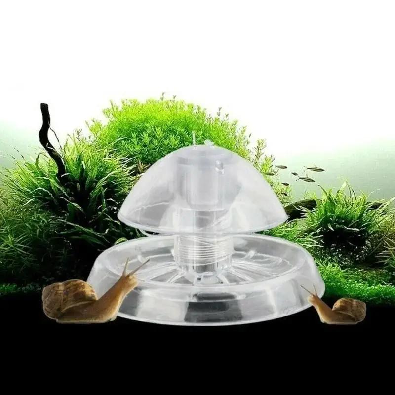 Aquarium Planting - 2026 Perangkap Siput Plastik Transparan 6/8CM