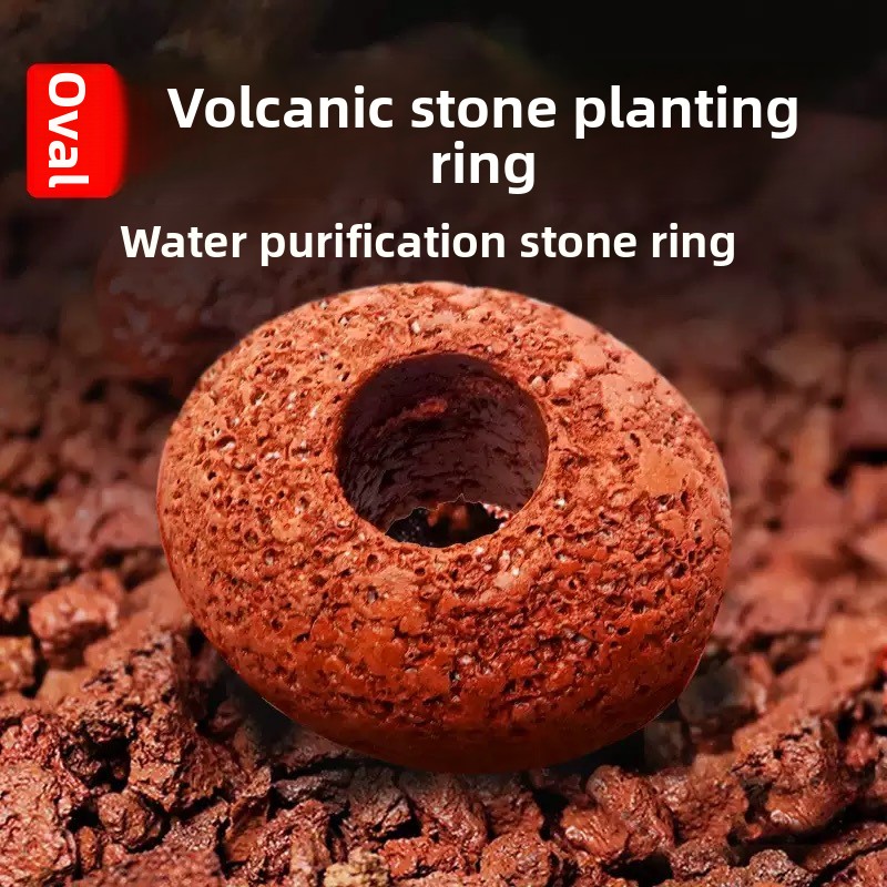 Planted Aquarium Care - Cincin Tanam Tanaman Akuarium Batu Vulkanik