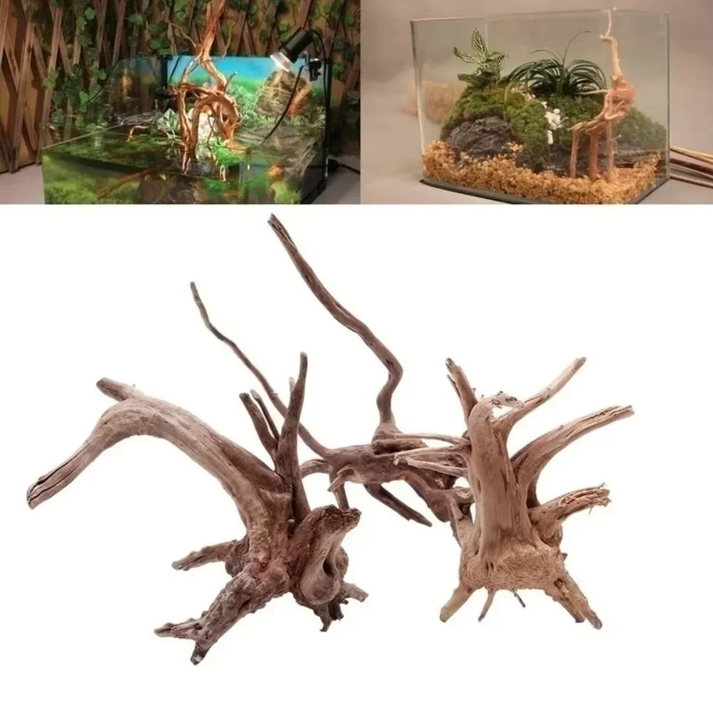 Aquarium Planted Wood - (15-20cm) Dekorasi Akuarium Kayu Apung Alami