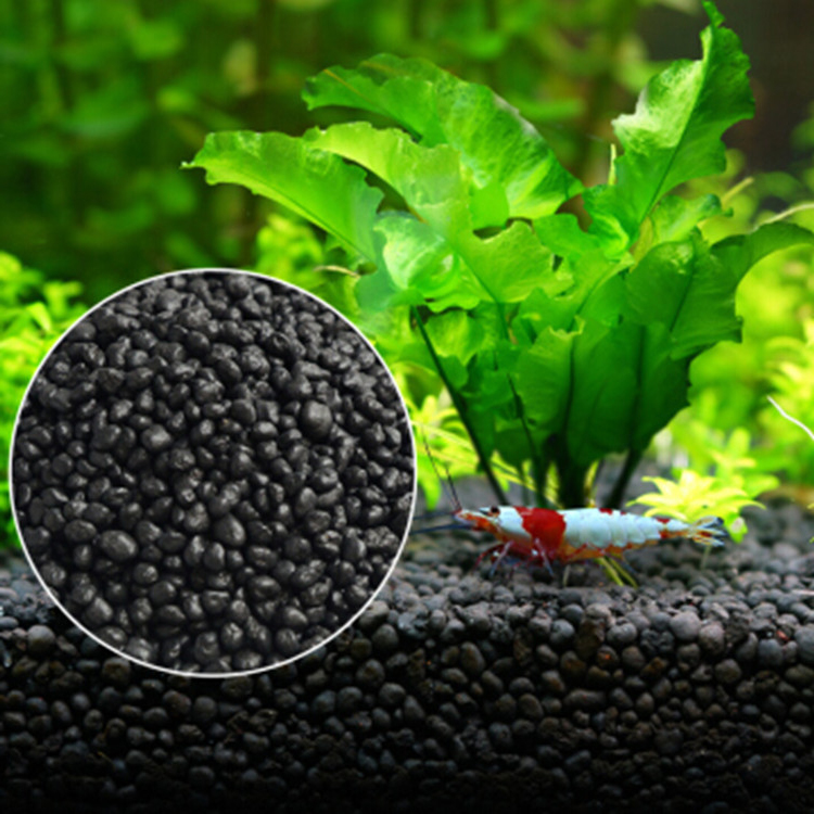 Planted Aquarium Care - Bibit Tanaman Akuarium Tanah Tangki Ikan