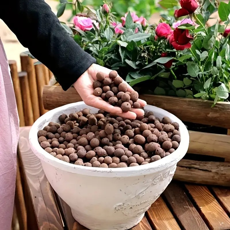 Pelet Terakota Ringan & Bernap - Aquarium Planting ulasan dan harga