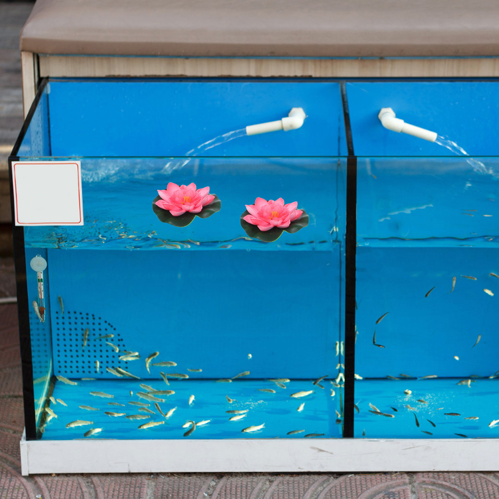 12 Buah Bunga Teratai Buatan u - Aquarium Planting ulasan dan harga