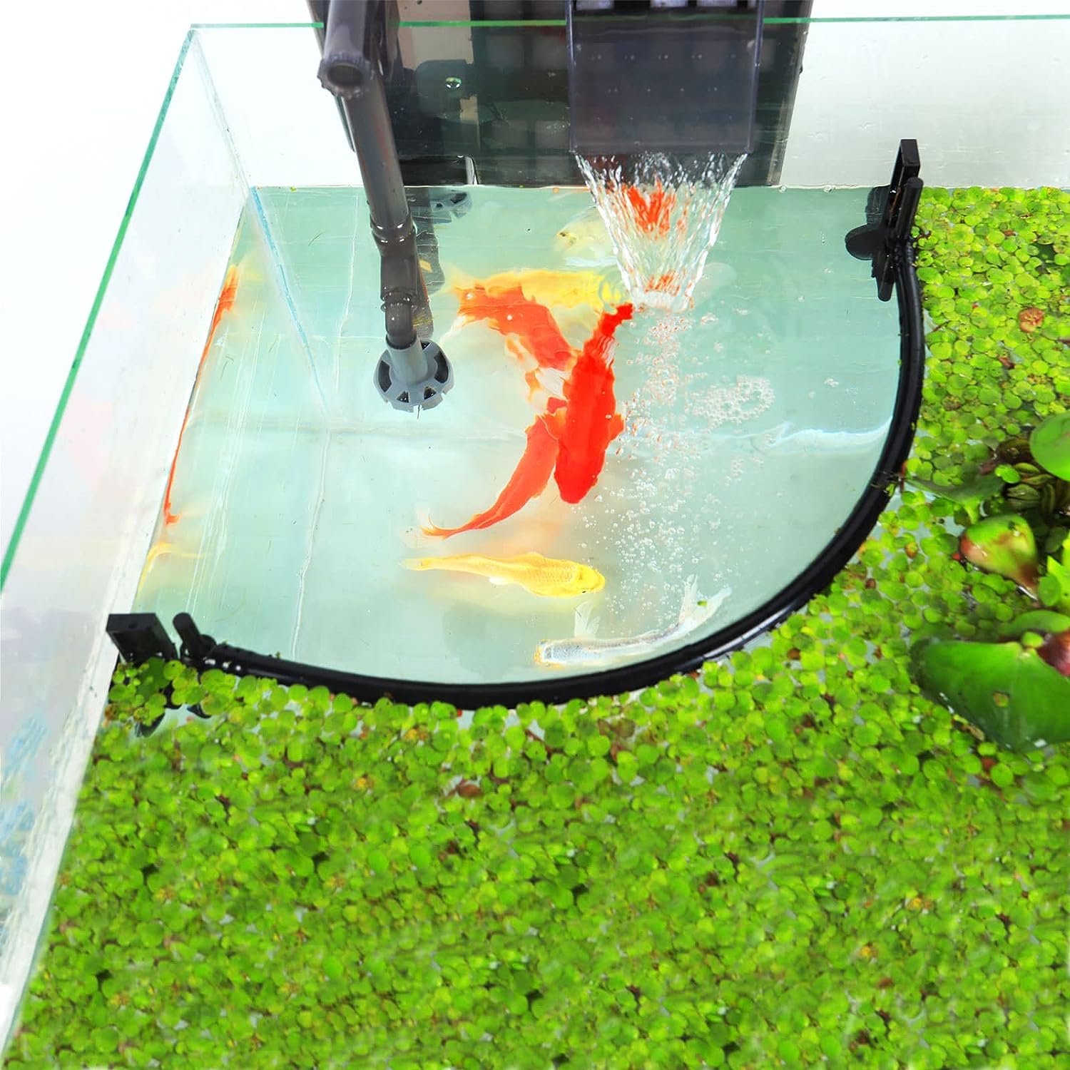Aquarium Floating tanaman Corr - Planted Aquarium Heater ulasan dan harga