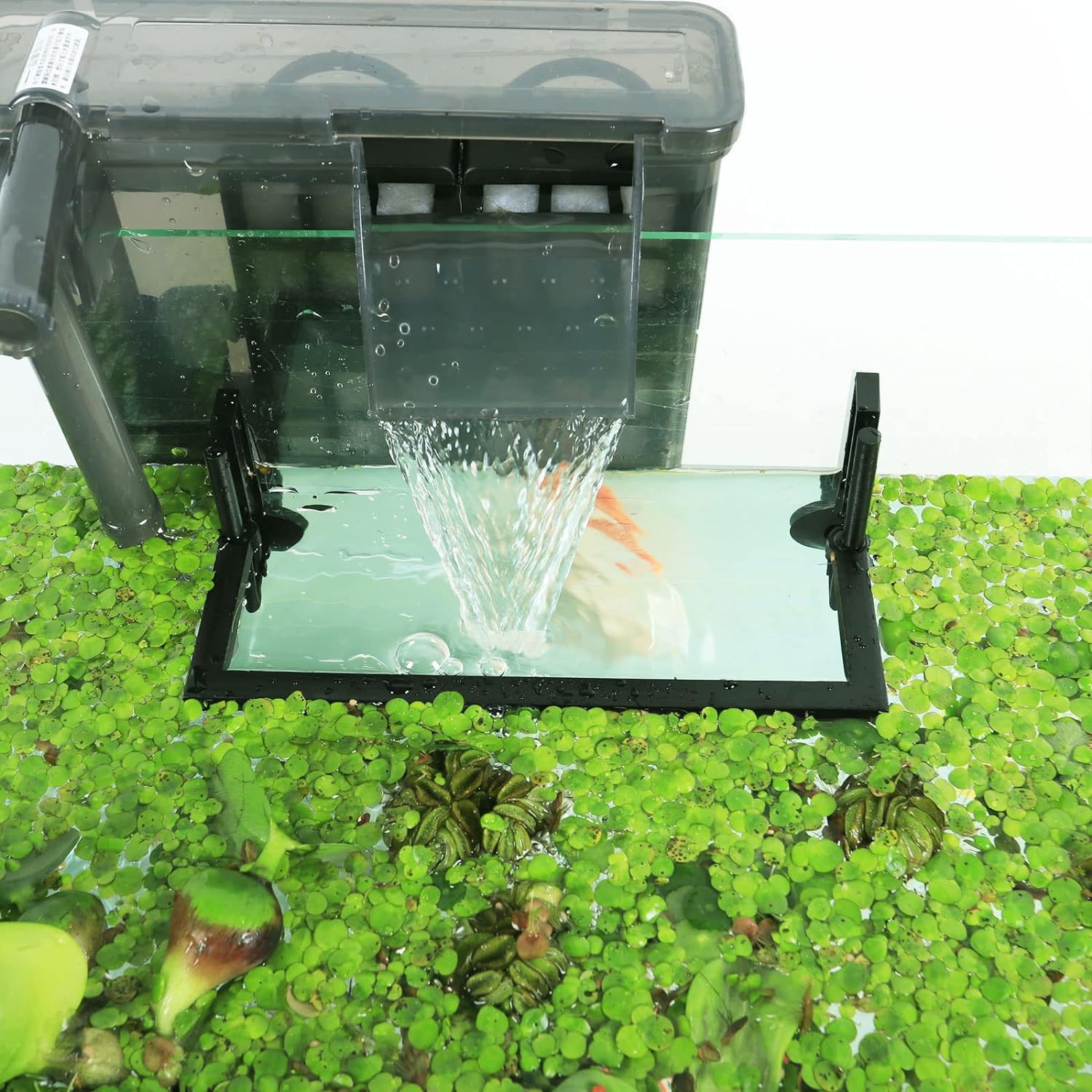 Aquarium Floating tanaman Corr - Planted Aquarium Heater ulasan dan harga