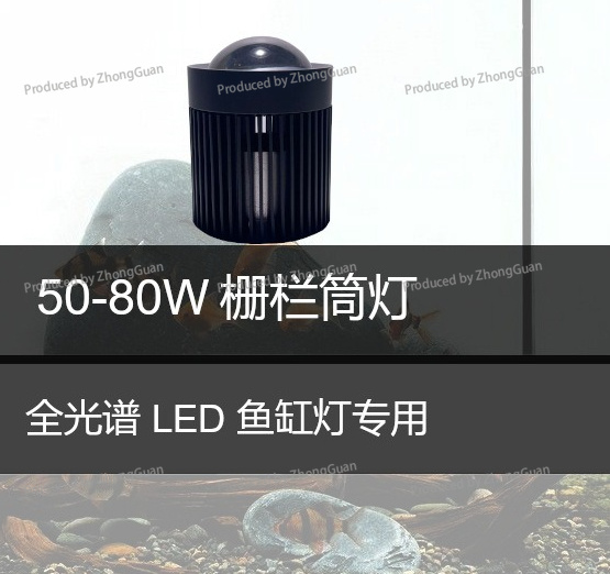 Lampu LED Downlight untuk Tana - Aquarium Planted Wood ulasan dan harga