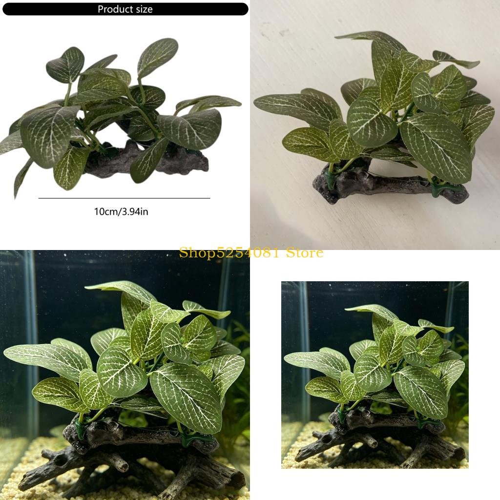 Kayu Apung Lanskap Akuarium AX - Non Planted Aquarium Fish ulasan dan harga