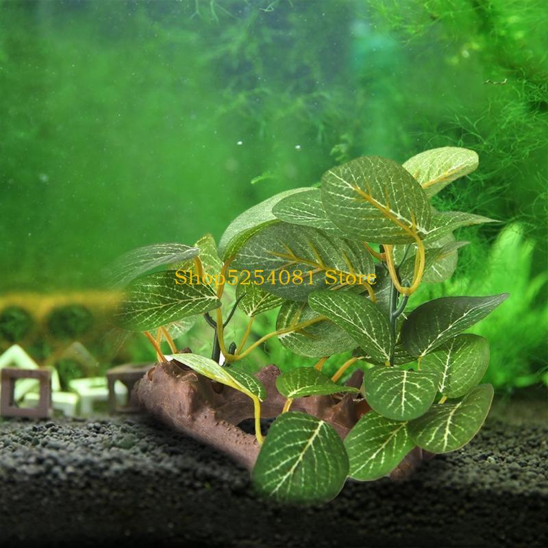 Kayu Apung Lanskap Akuarium AX - Non Planted Aquarium Fish ulasan dan harga