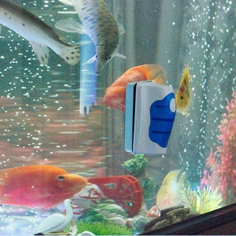Pembersih kaca tangki ikan, al - Planted Aquarium Tools ulasan dan harga