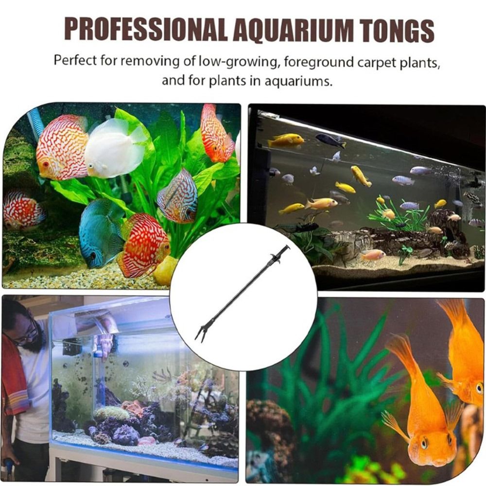 1 Buah Penjepit Plastik Akuari - Non Planted Aquarium Fish ulasan dan harga