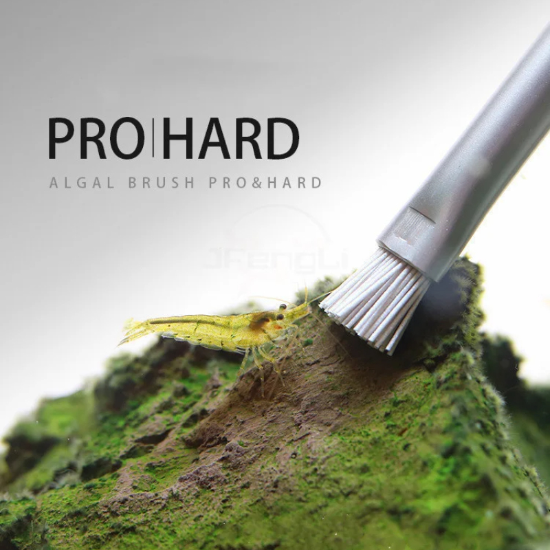 Sikat Alga Aquapro Sikat Pembe - Planted Aquarium Tools ulasan dan harga