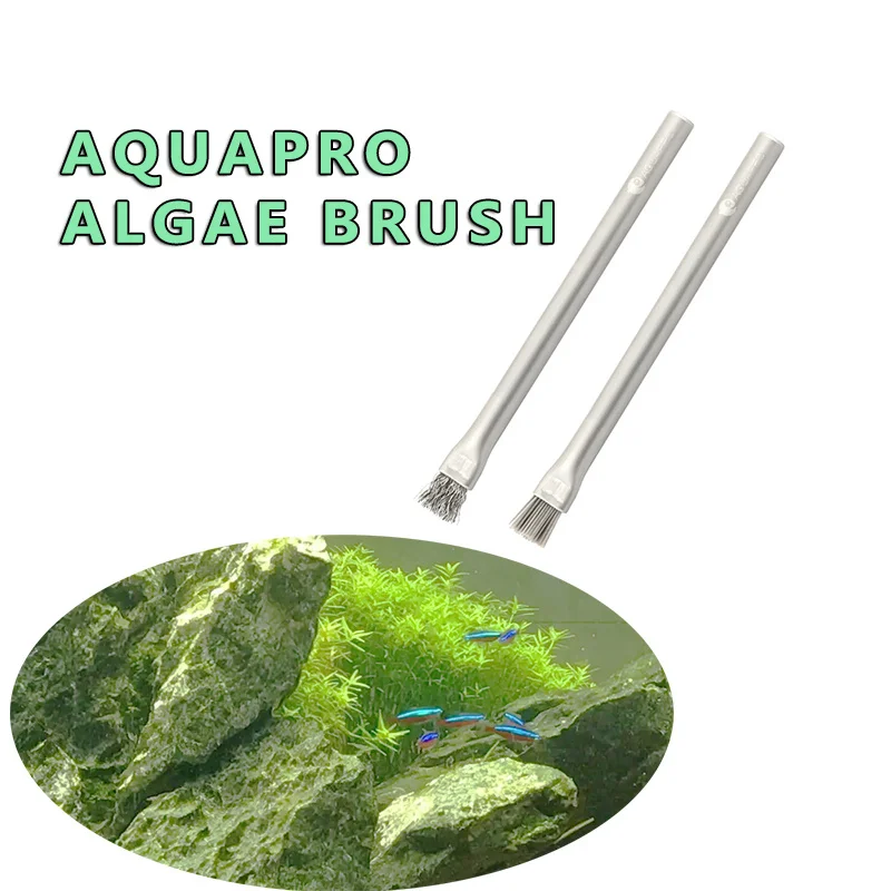 Sikat Alga Aquapro Sikat Pembe - Planted Aquarium Tools ulasan dan harga