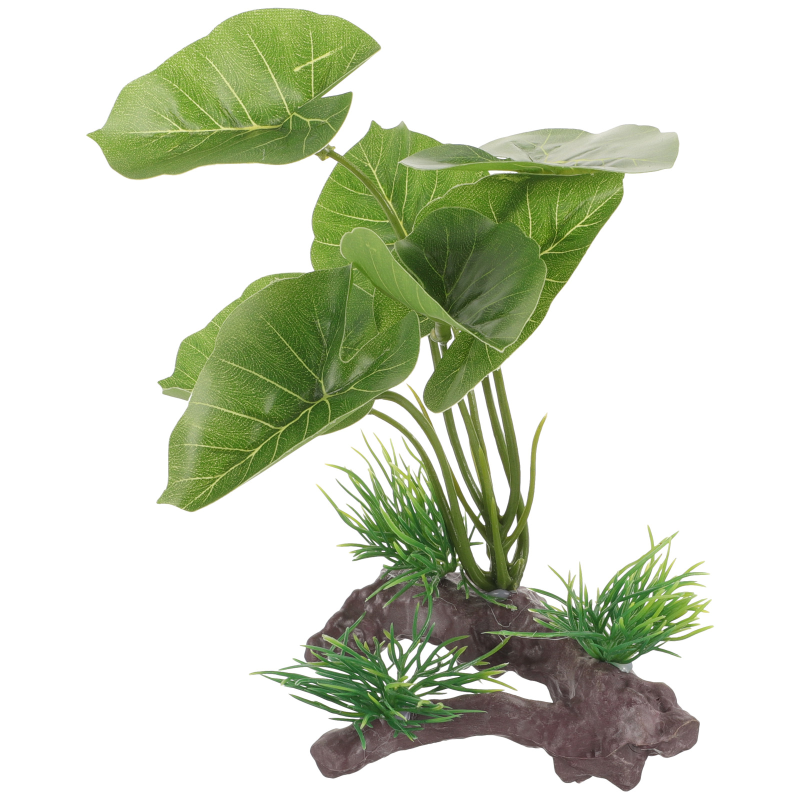 Tanaman Akuarium Plastik Reali - Planted Aquarium Care ulasan dan harga