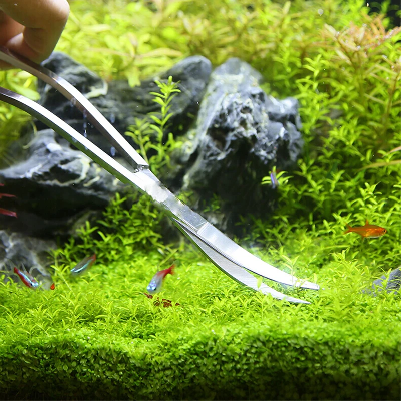 Gunting akuarium, peralatan ta - Planted Aquarium Tools ulasan dan harga