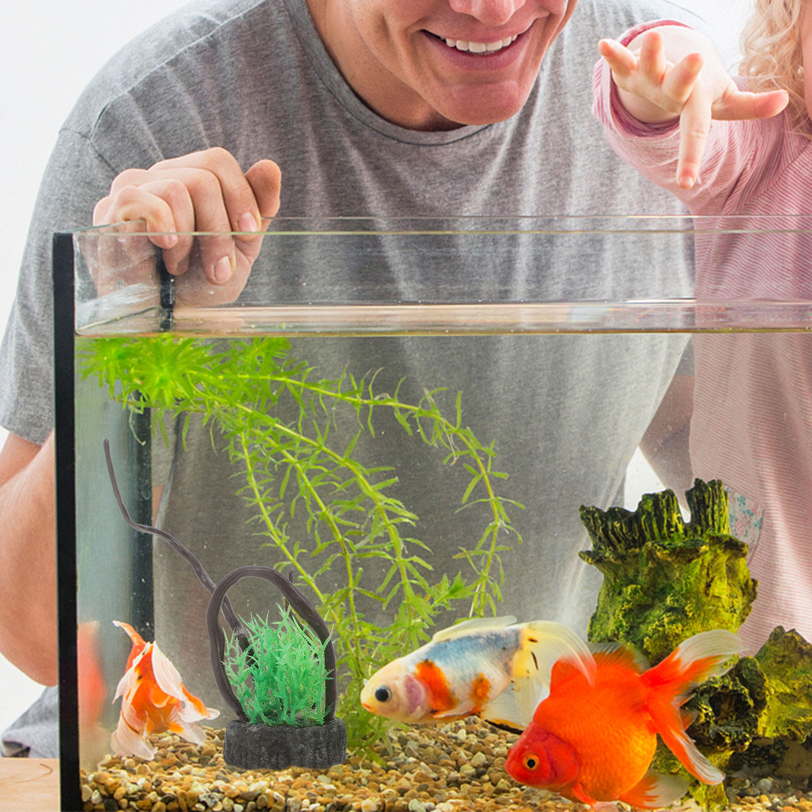 Set Tanaman Akuarium Buatan Re - Non Planted Aquarium Fish ulasan dan harga