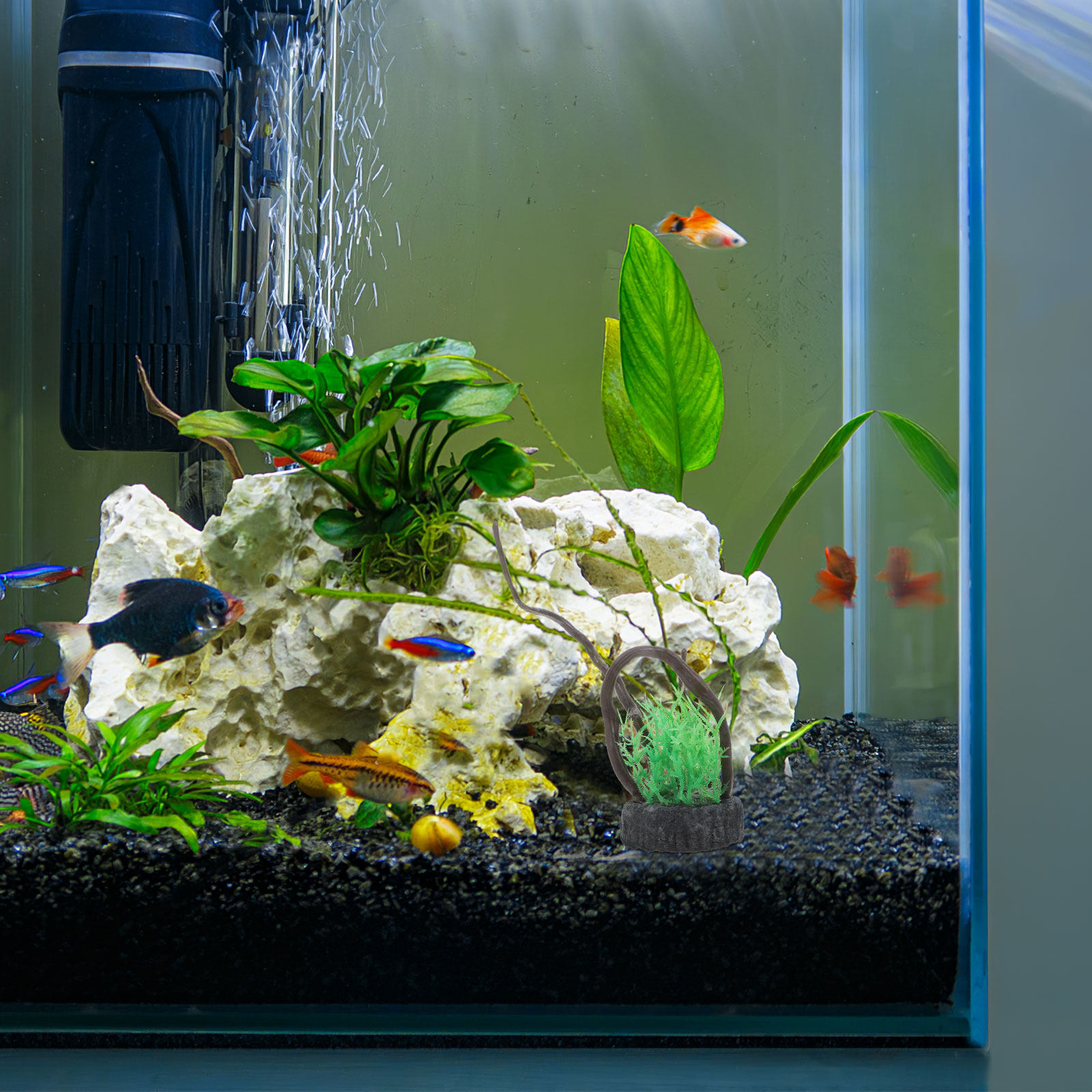 Set Tanaman Akuarium Buatan Re - Non Planted Aquarium Fish ulasan dan harga