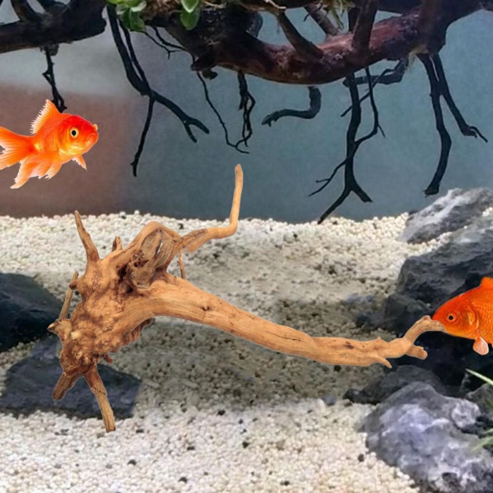 Kayu Apung Akuarium Besar 20-2 - Aquarium Planted Wood ulasan dan harga