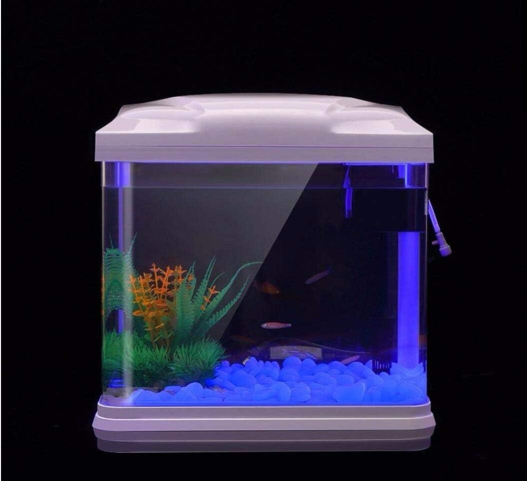 Batu Tangki Ikan Kerikil Biru  - Aquarium Planting ulasan dan harga