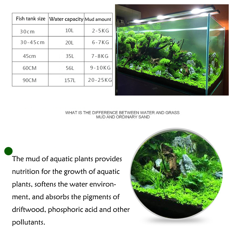 Bibit Tanaman Akuarium Tanah T - Planted Aquarium Care ulasan dan harga