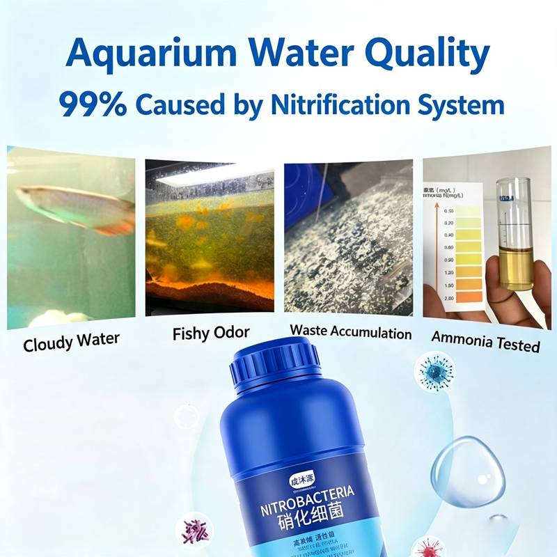 Kombinasi Perawatan Akuarium A - Planted Aquarium Care ulasan dan harga
