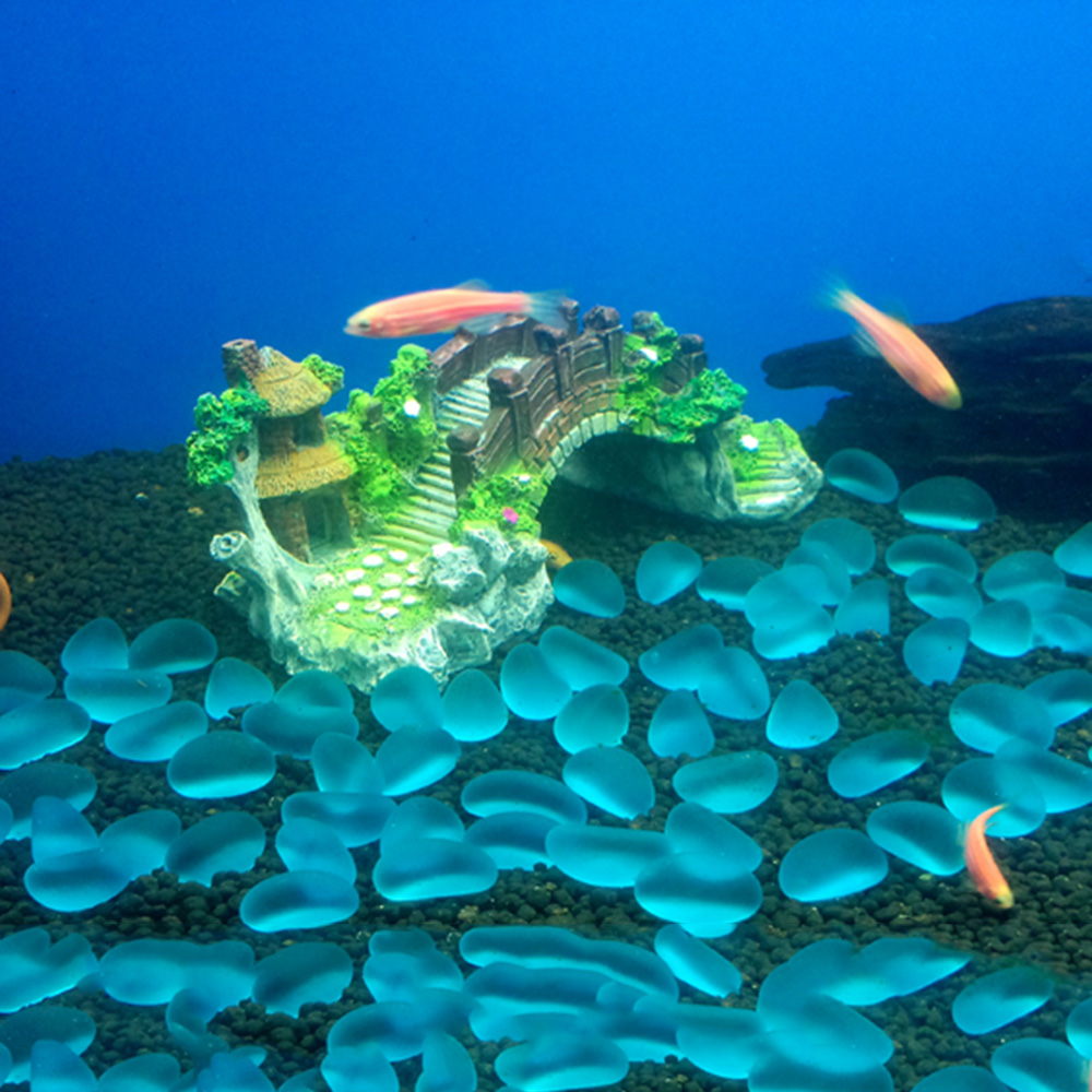 Aksesori akuarium pohon Arbor  - Aquarium Planted Wood ulasan dan harga