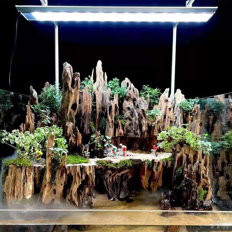 △   Dekorasi Akuarium Kayu Uda - Aquarium Planted Wood ulasan dan harga