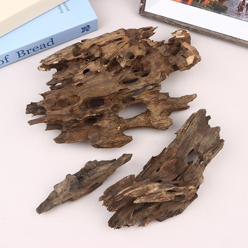 △   Dekorasi Akuarium Kayu Uda - Aquarium Planted Wood ulasan dan harga