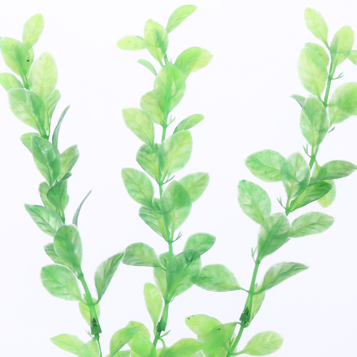 3 Buah Tanaman Plastik Hijau B - Non Planted Aquarium Fish ulasan dan harga